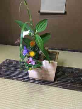 川越茶遊び彩茶会